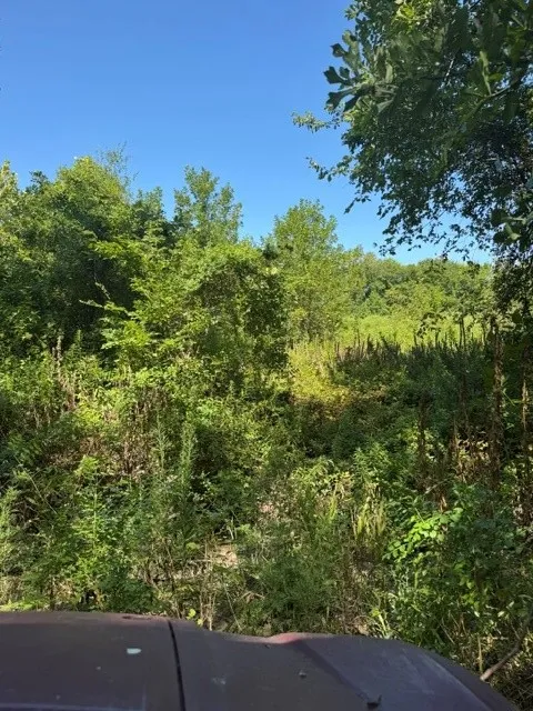 County Rd. 1300 Emory, TX 75440