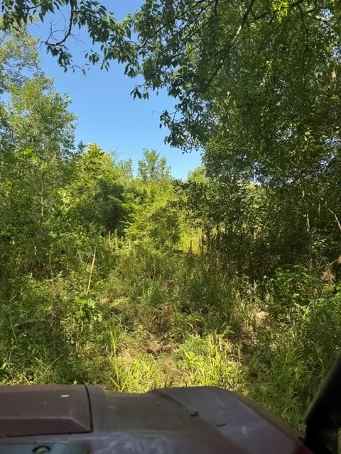 County Rd. 1300 Emory, TX 75440
