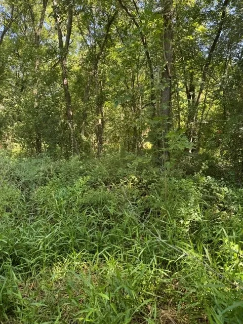 County Rd. 1300 Emory, TX 75440