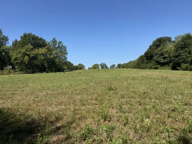 County Rd. 1300 Emory, TX 75440