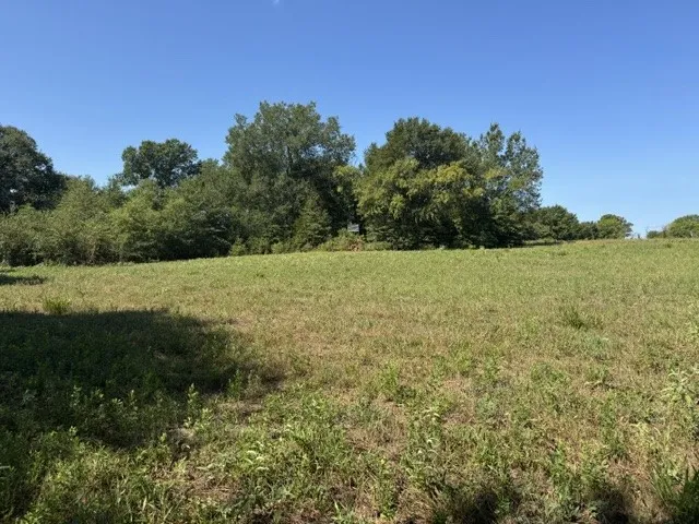 County Rd. 1300 Emory, TX 75440