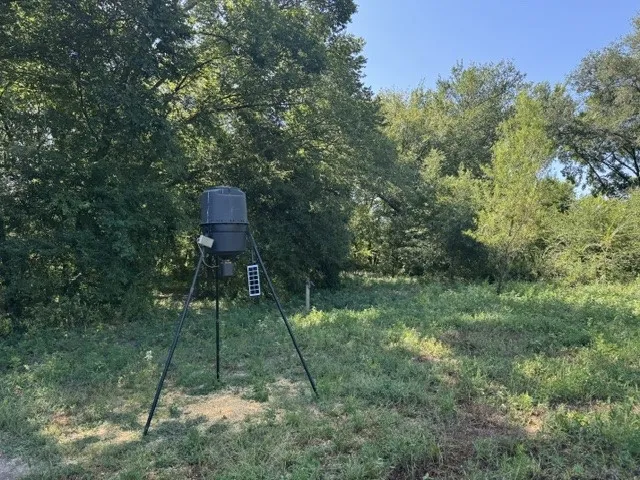 County Rd. 1300 Emory, TX 75440