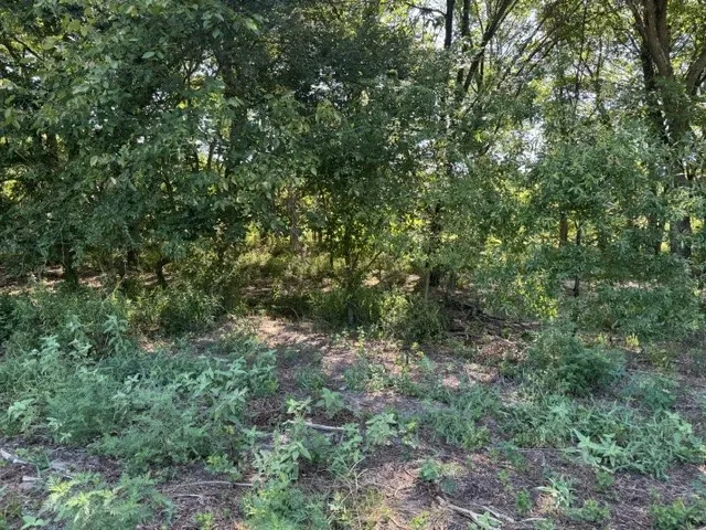 County Rd. 1300 Emory, TX 75440