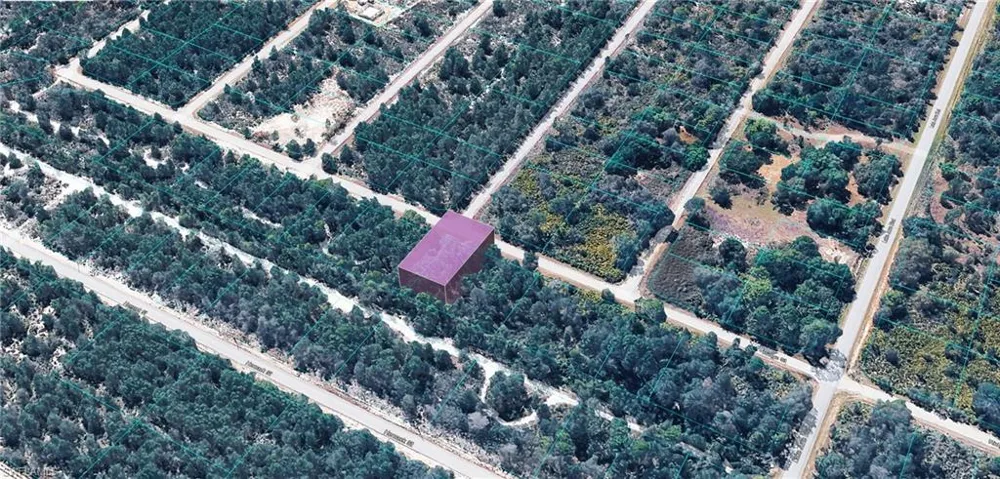 953 RIDGE STREET Lake Placid, FL 33852