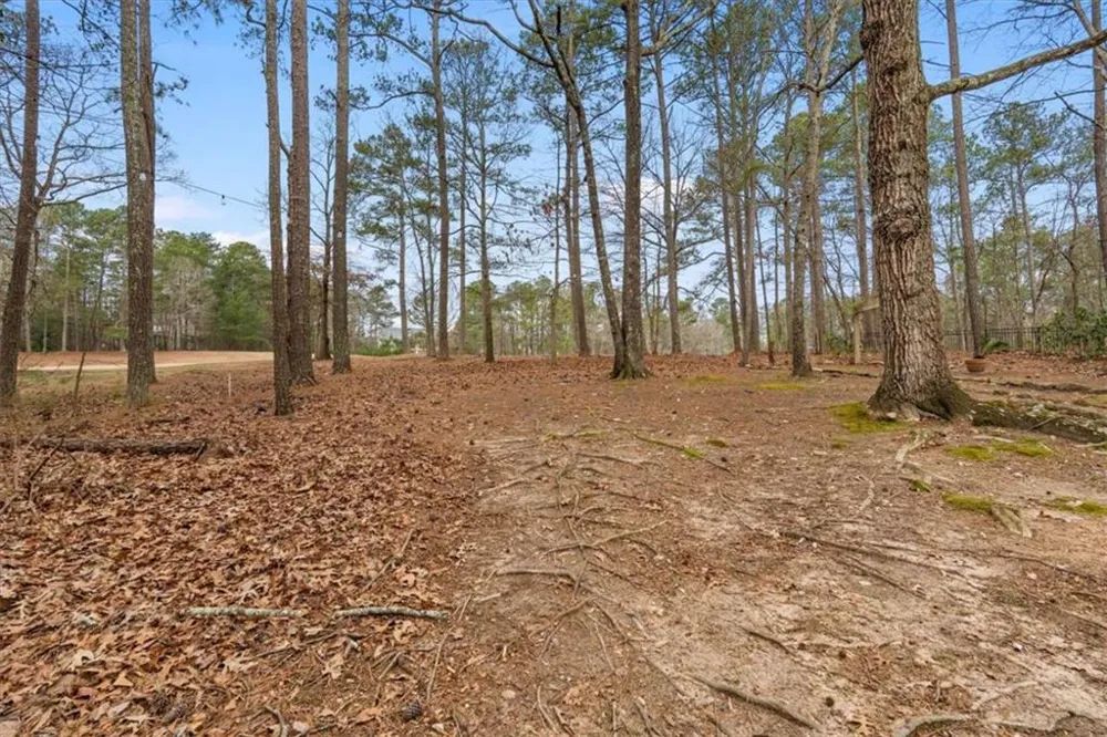 7349 S Mitchell Court S Villa Rica, GA 30180