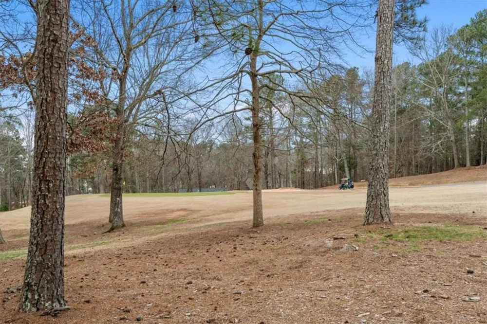 7349 S Mitchell Court S Villa Rica, GA 30180