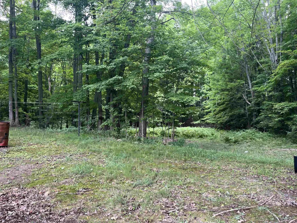 380 Thomas Road SW Kalkaska Township, MI 49680