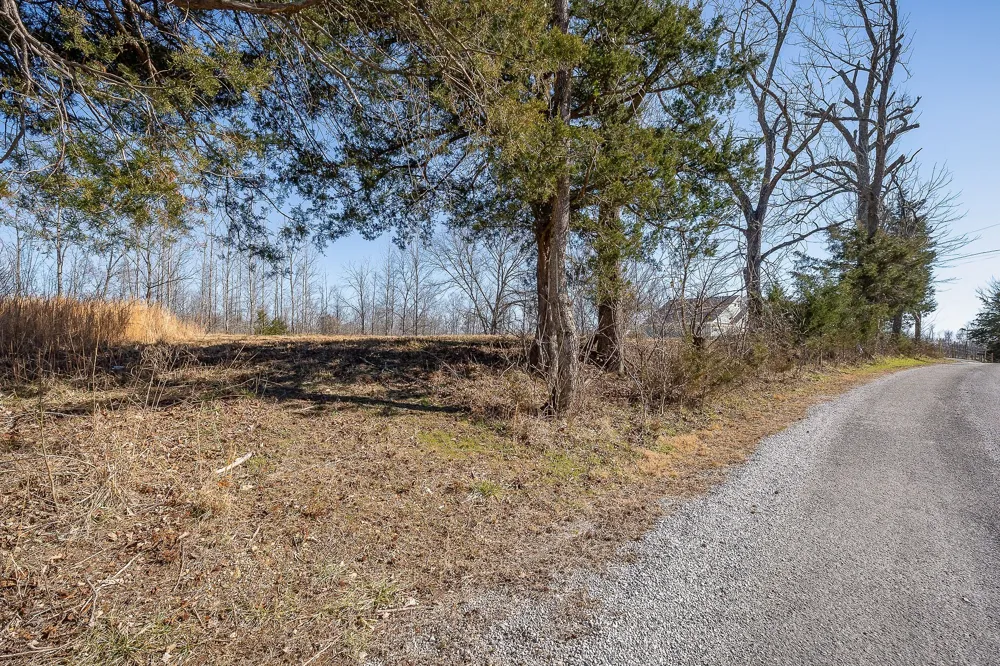 0 Backbone Road Smithville, TN 37166
