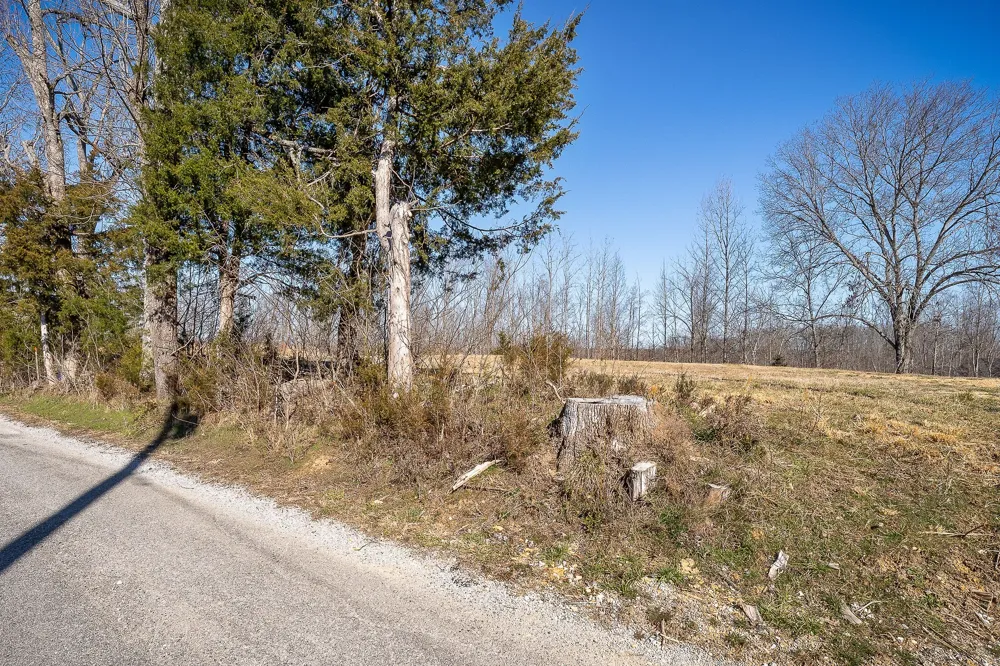0 Backbone Road Smithville, TN 37166