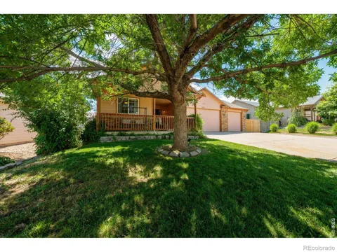 905 Scotch Pine Drive