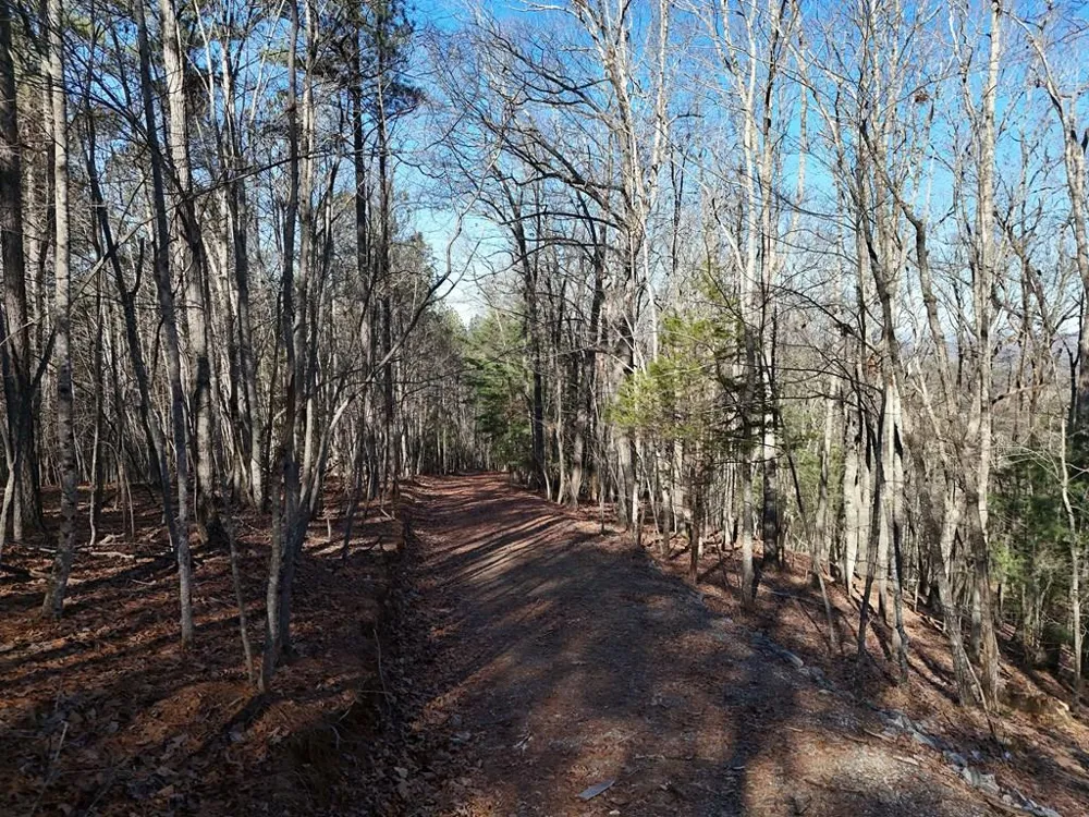 Tract D Carriage Lane Nw Blairsville, GA 30512