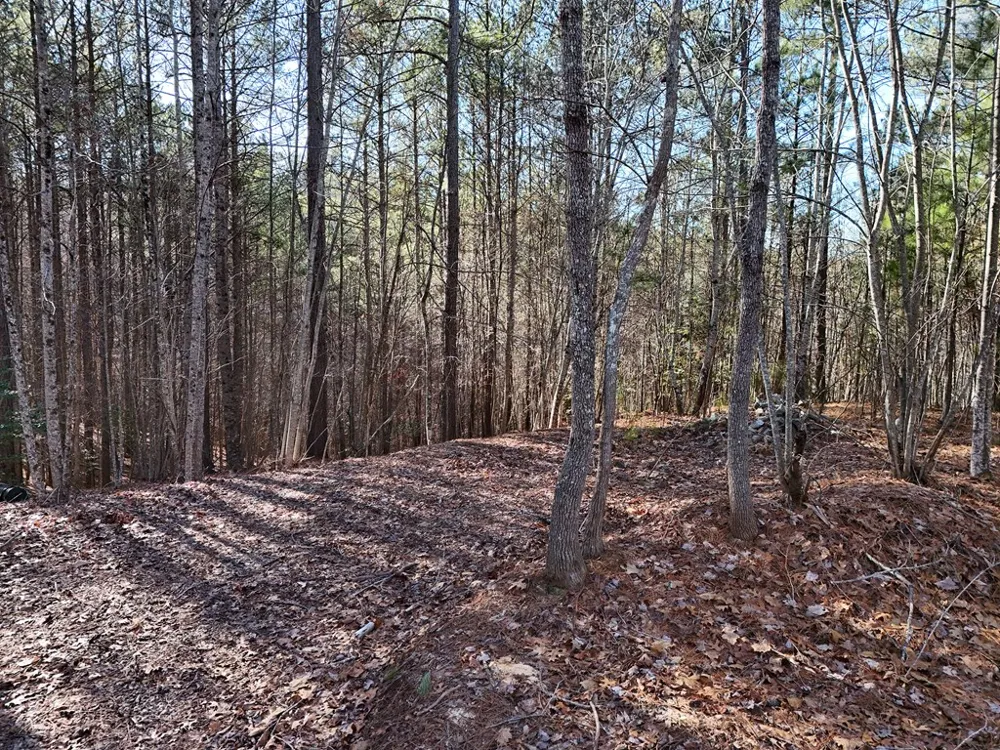 Tract D Carriage Lane Nw Blairsville, GA 30512