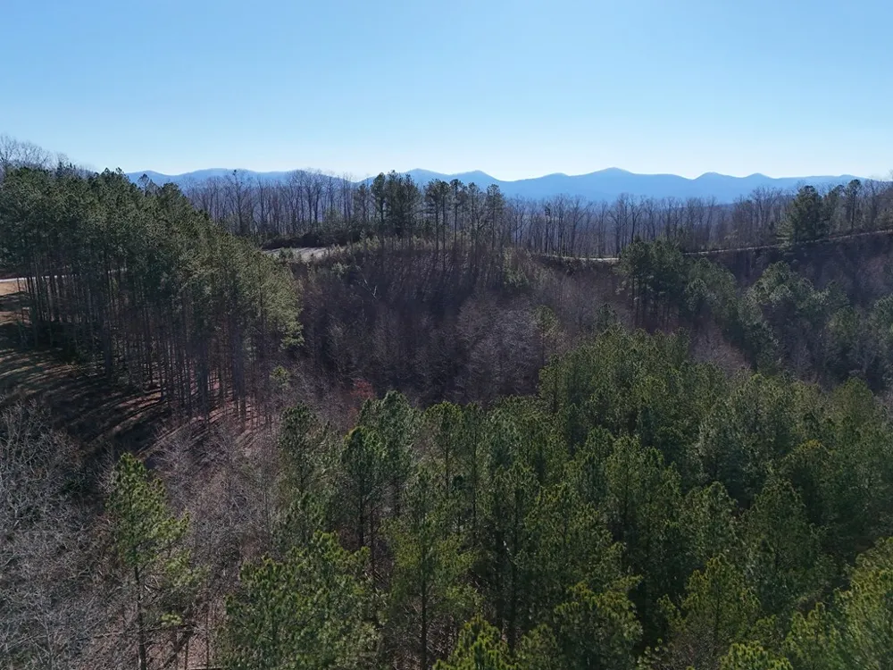 Tract D Carriage Lane Nw Blairsville, GA 30512