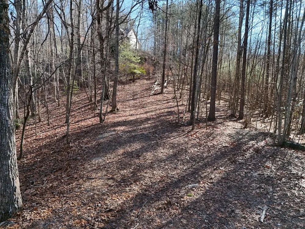 Tract D Carriage Lane Nw Blairsville, GA 30512