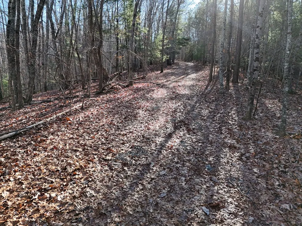 Tract D Carriage Lane Nw Blairsville, GA 30512