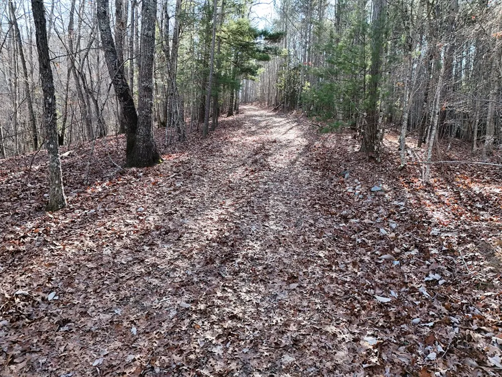 Tract D Carriage Lane Nw Blairsville, GA 30512