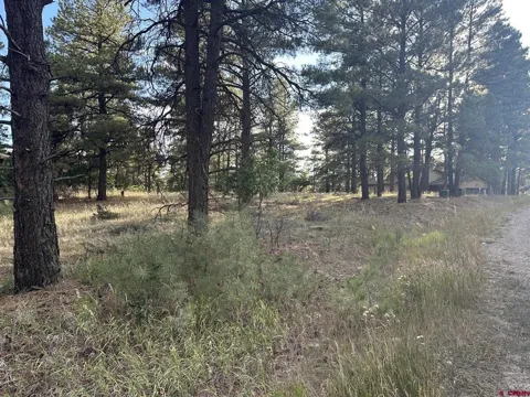 434 Twincreek Circle