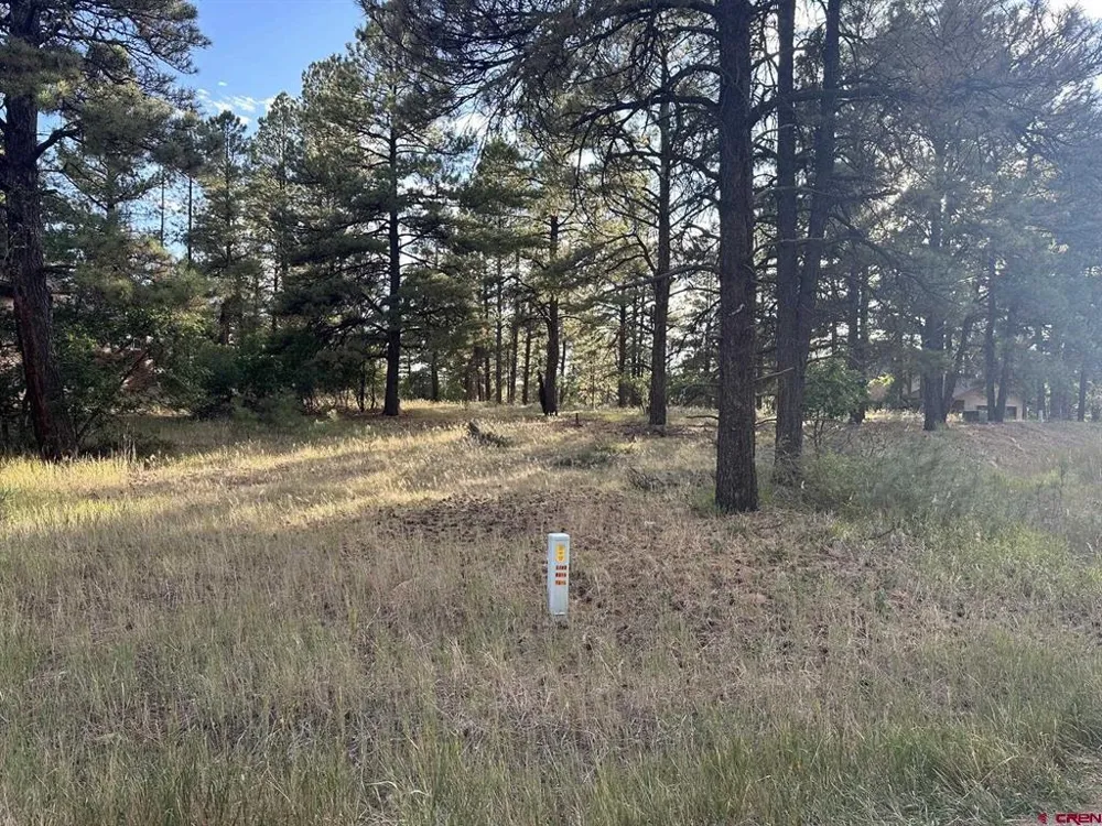 434 Twincreek Circle Pagosa Springs, CO 81147