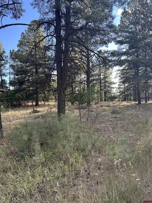 434 Twincreek Circle Pagosa Springs, CO 81147