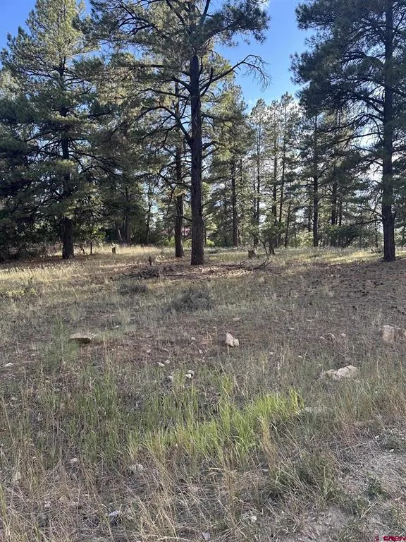 434 Twincreek Circle Pagosa Springs, CO 81147