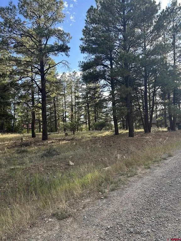434 Twincreek Circle Pagosa Springs, CO 81147