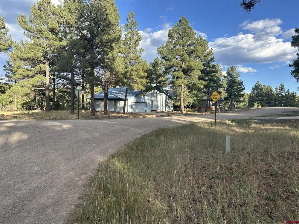 434 Twincreek Circle Pagosa Springs, CO 81147