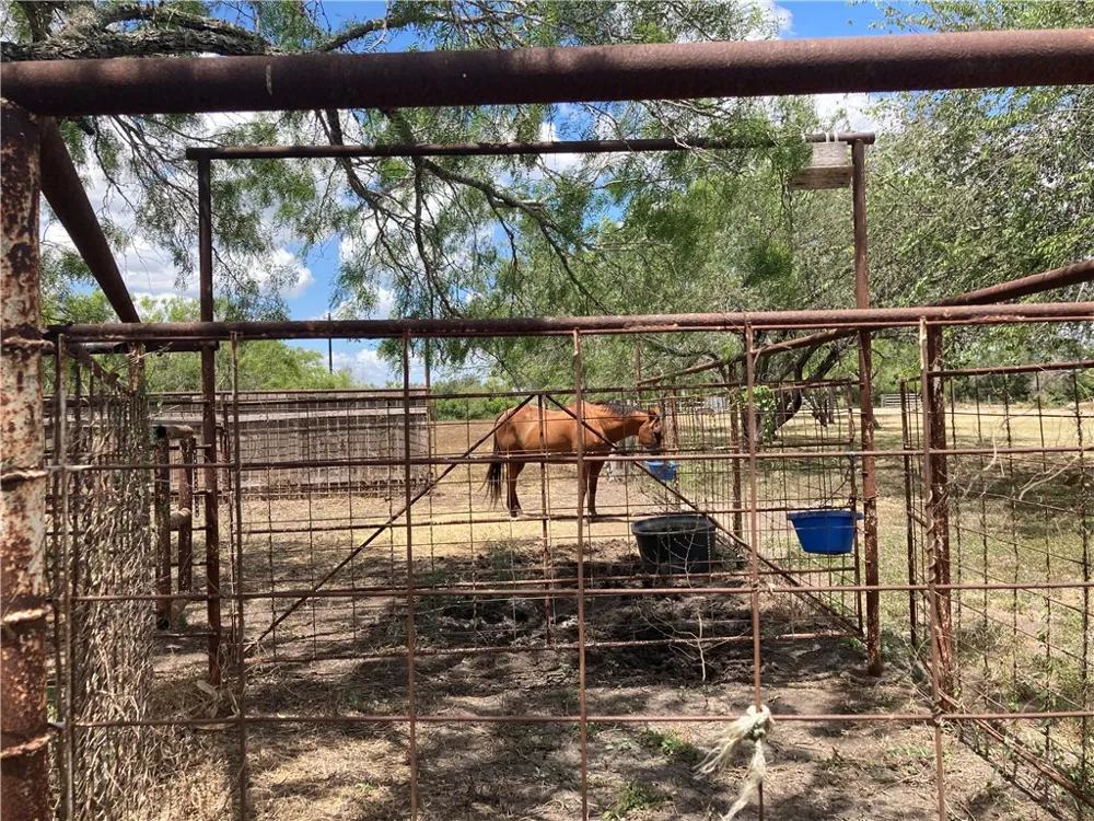 1260 W County Road 303 Orange Grove, TX 78372