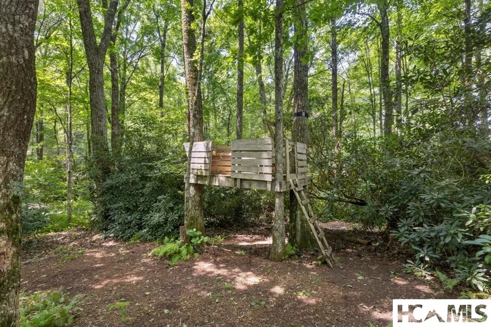 289 Apple Mountain Circle Highlands, NC 28741
