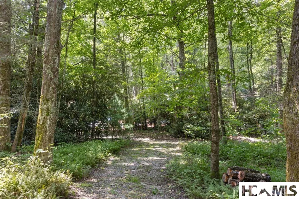 289 Apple Mountain Circle Highlands, NC 28741