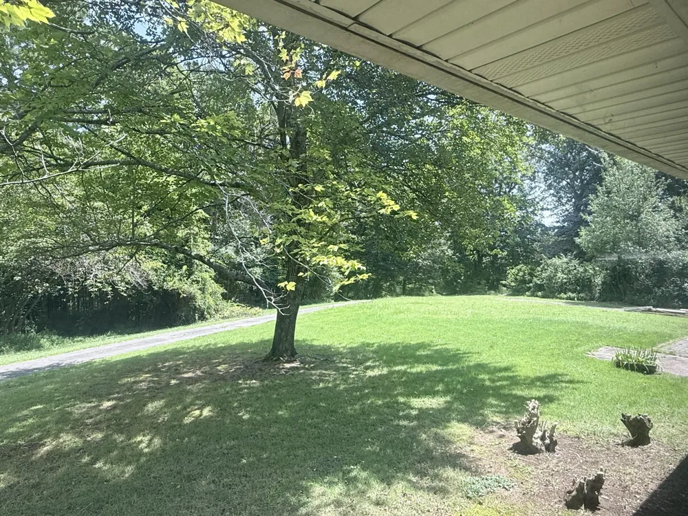 139 Melrose Lane Summerville, GA 30747