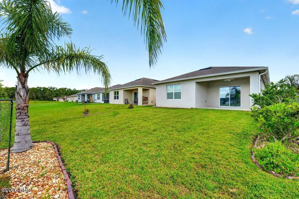 3118 Borassus Drive New Smyrna Beach, FL 32168