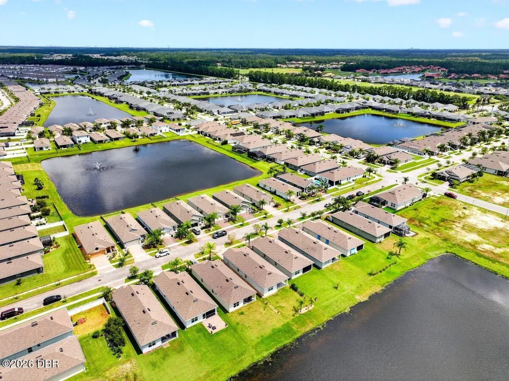 3118 Borassus Drive New Smyrna Beach, FL 32168