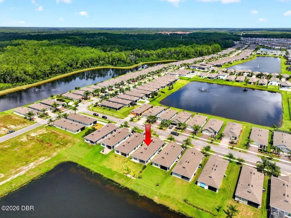 3118 Borassus Drive New Smyrna Beach, FL 32168