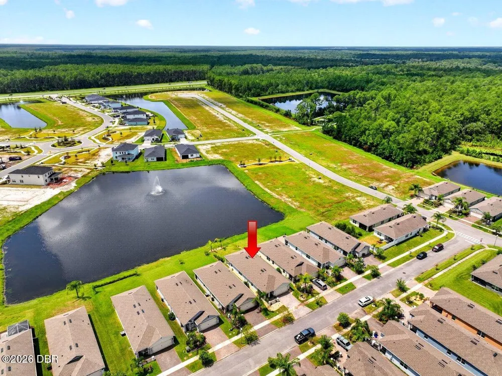 3118 Borassus Drive New Smyrna Beach, FL 32168