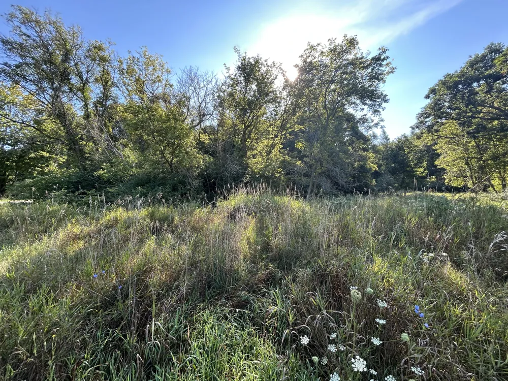 McKinney Brooklyn, MI 49230