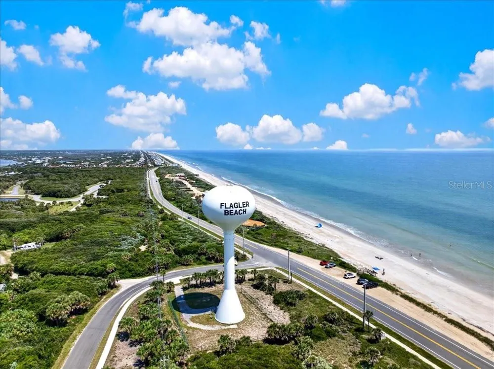 263 OCEAN PALM DRIVE Flagler Beach, FL 32136