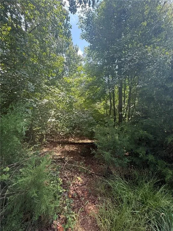 237 Stillwater Lane Dawsonville, GA 30534