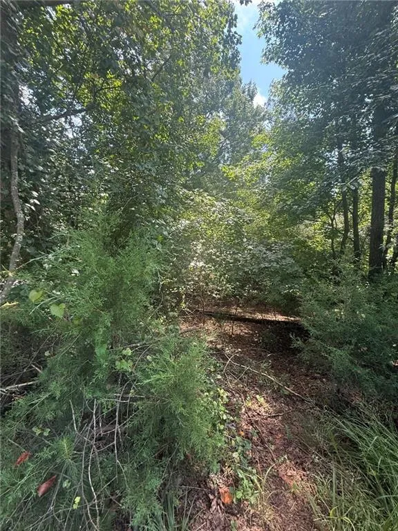 237 Stillwater Lane Dawsonville, GA 30534