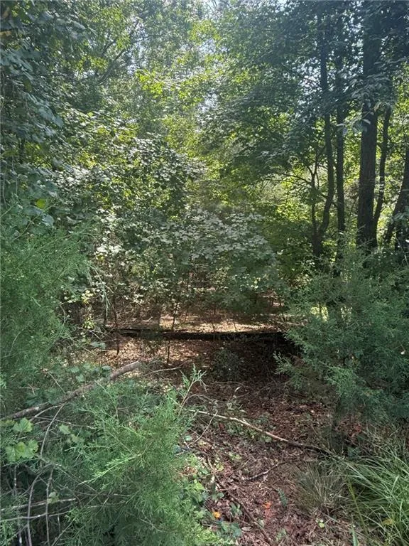 237 Stillwater Lane Dawsonville, GA 30534