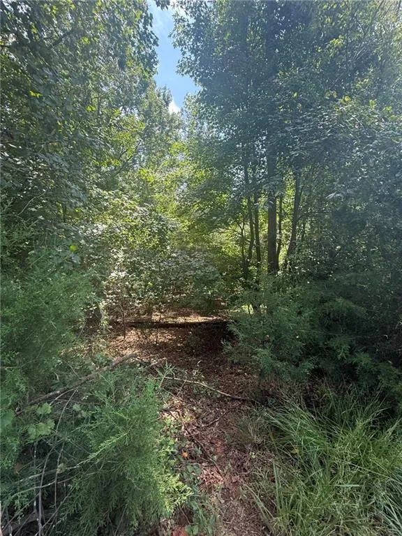 237 Stillwater Lane Dawsonville, GA 30534