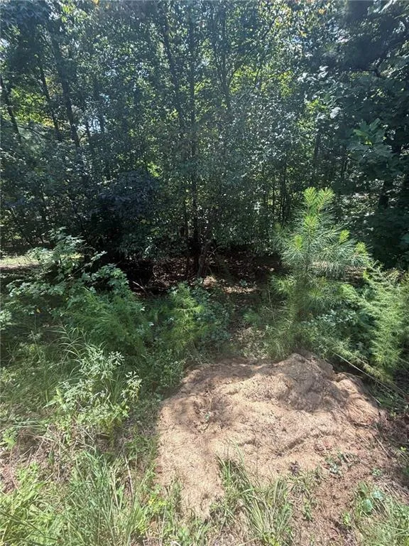 237 Stillwater Lane Dawsonville, GA 30534