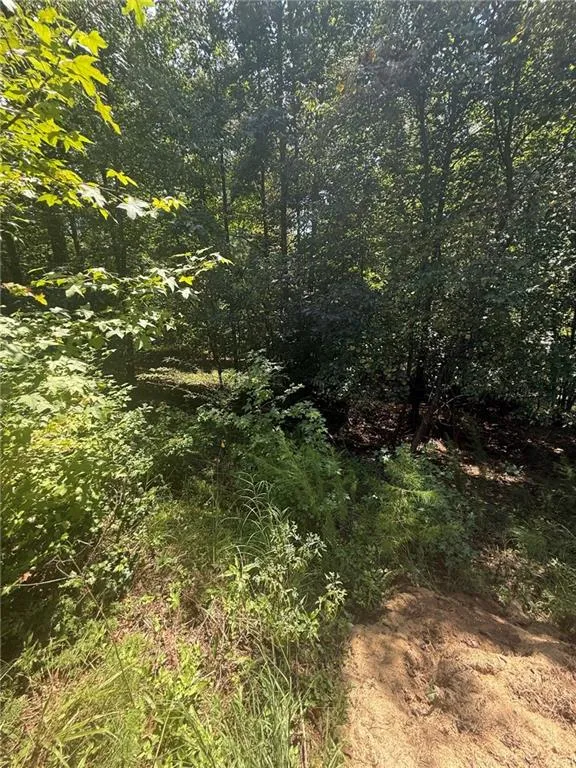 237 Stillwater Lane Dawsonville, GA 30534