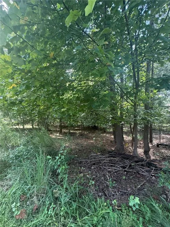 237 Stillwater Lane Dawsonville, GA 30534
