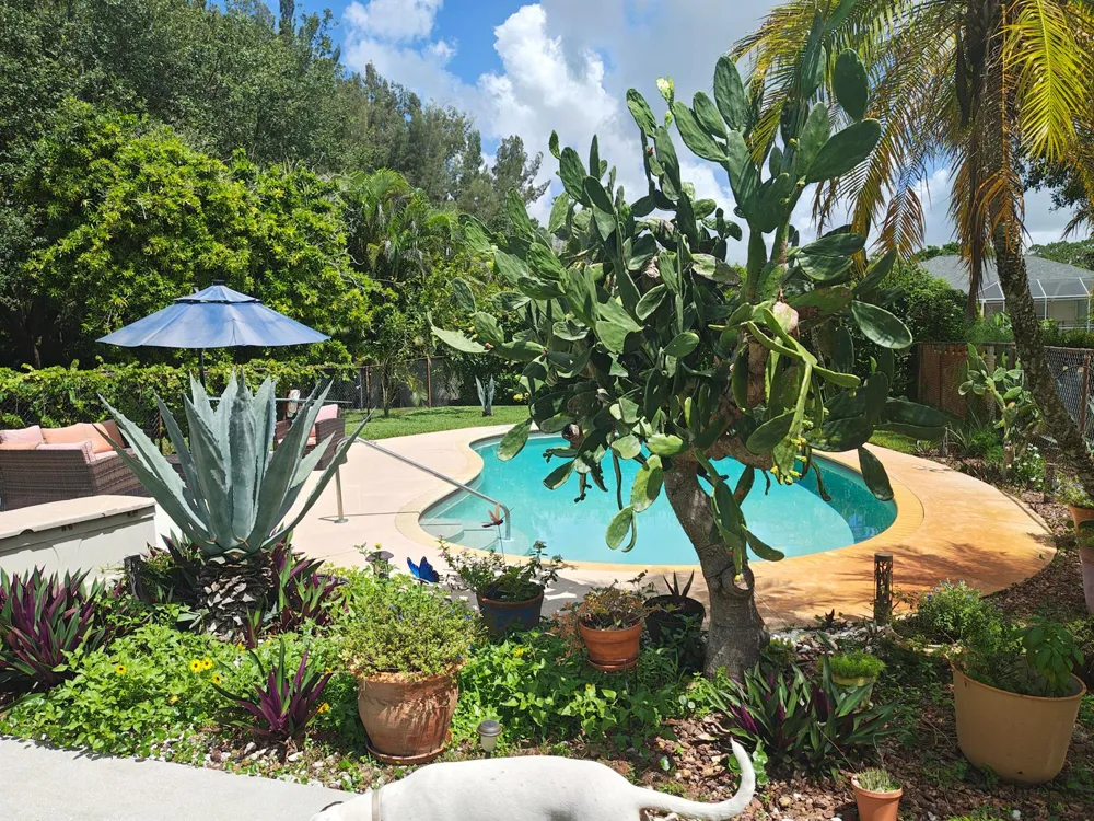 13881 42nd Road West Palm Beach, FL 33411