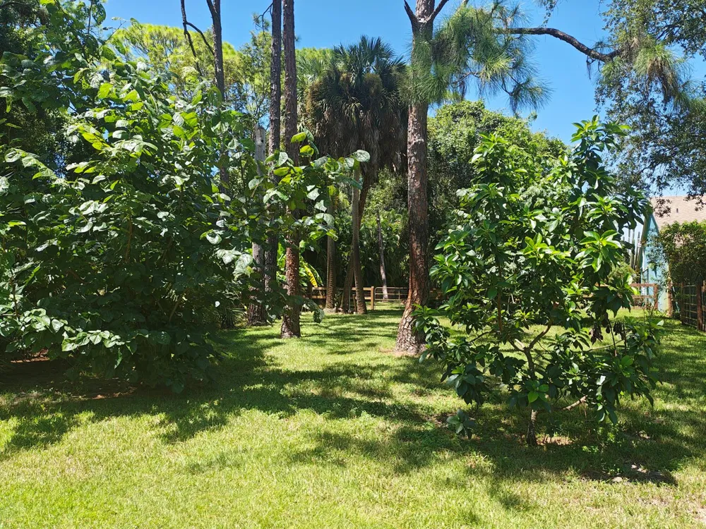 13881 42nd Road West Palm Beach, FL 33411