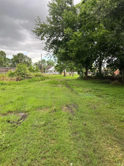Bayou Street