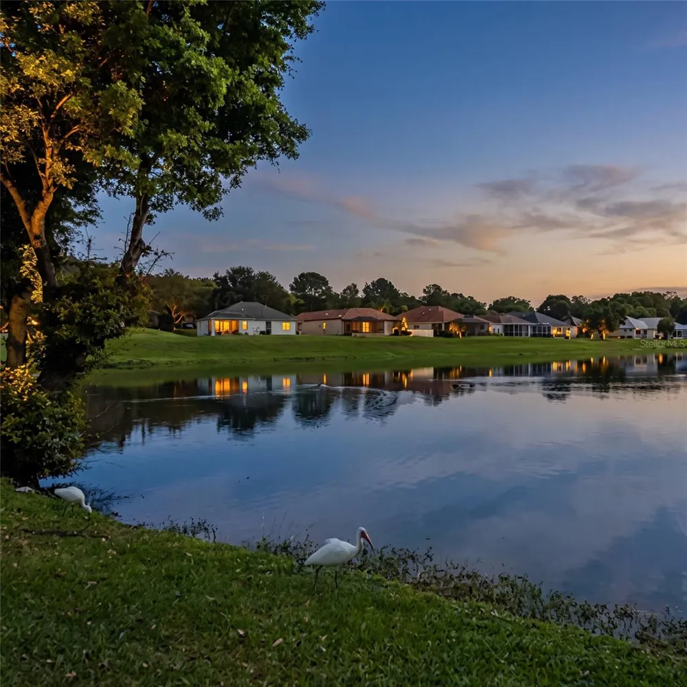 17408 SE 121ST CIRCLE Summerfield, FL 34491