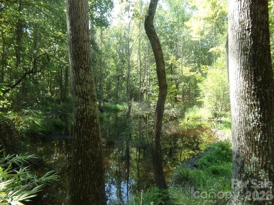 723 Lester Hicks Circle Pageland, SC 29728