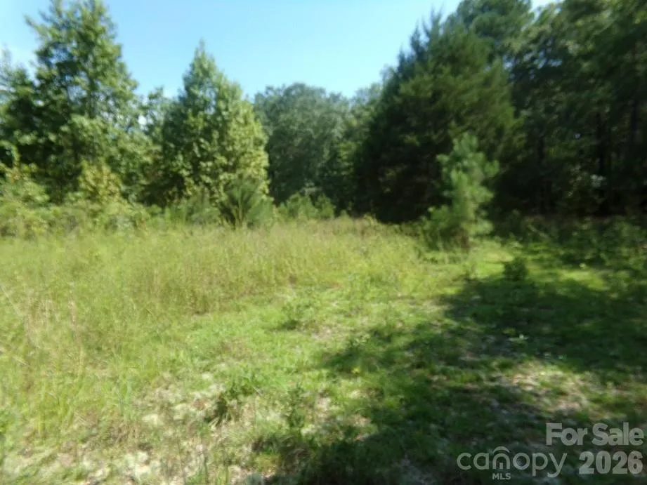 723 Lester Hicks Circle Pageland, SC 29728