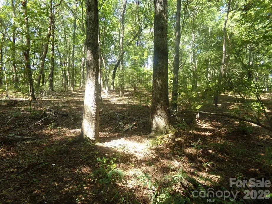 723 Lester Hicks Circle Pageland, SC 29728